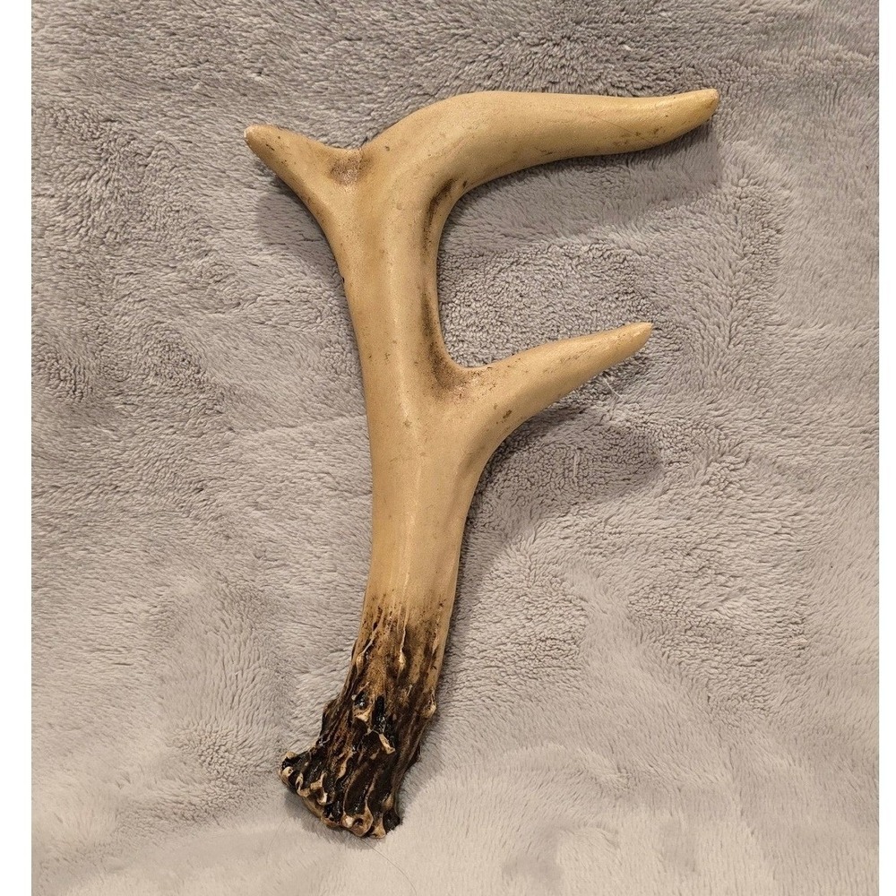 Faux Antler Letter F Wall Decor Rustic Cabin Lodge Resin Horn Accent 7.75 Inch